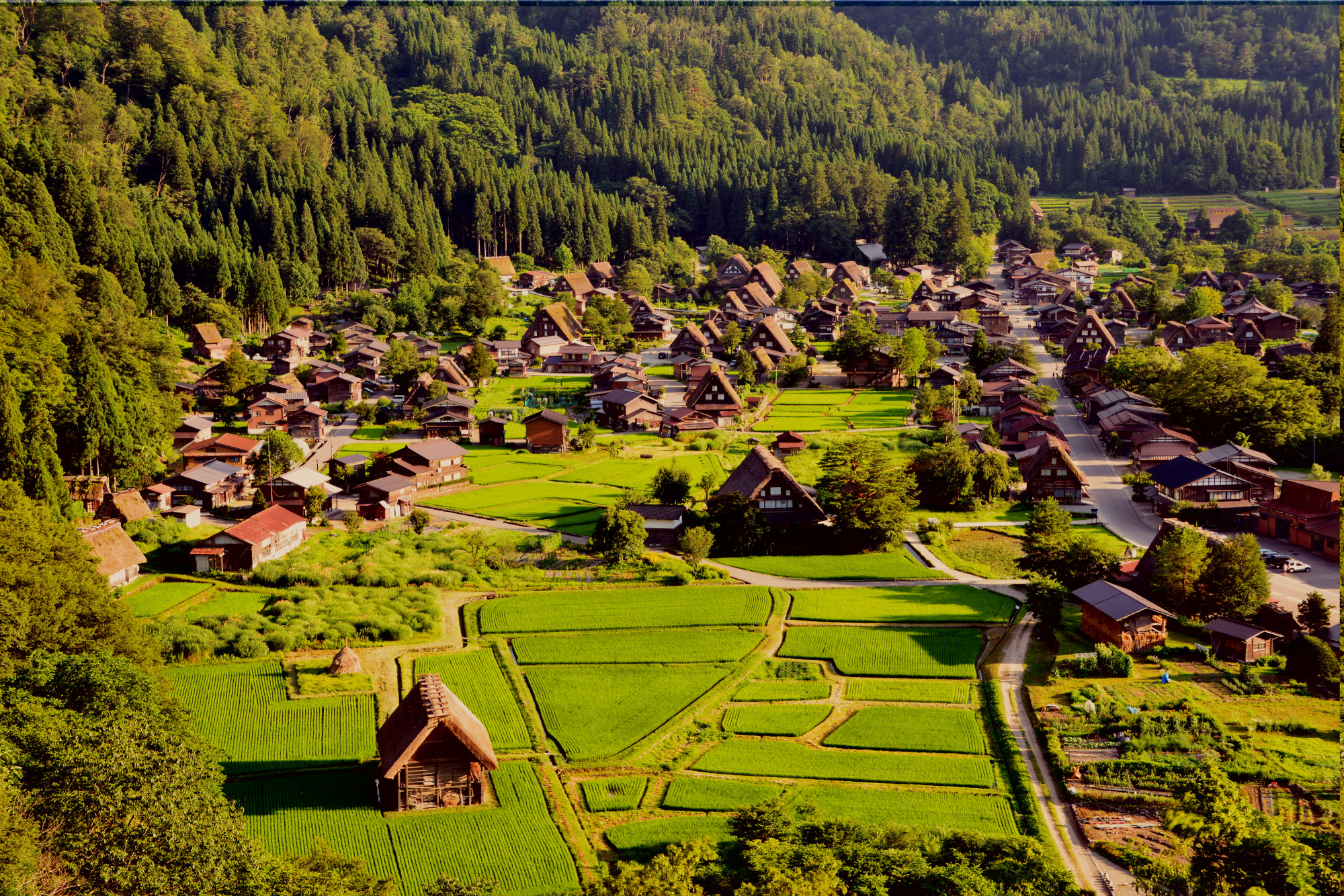 混雑を避けて満喫！ドライブでめぐる白川郷＆周辺エリアのおすすめ